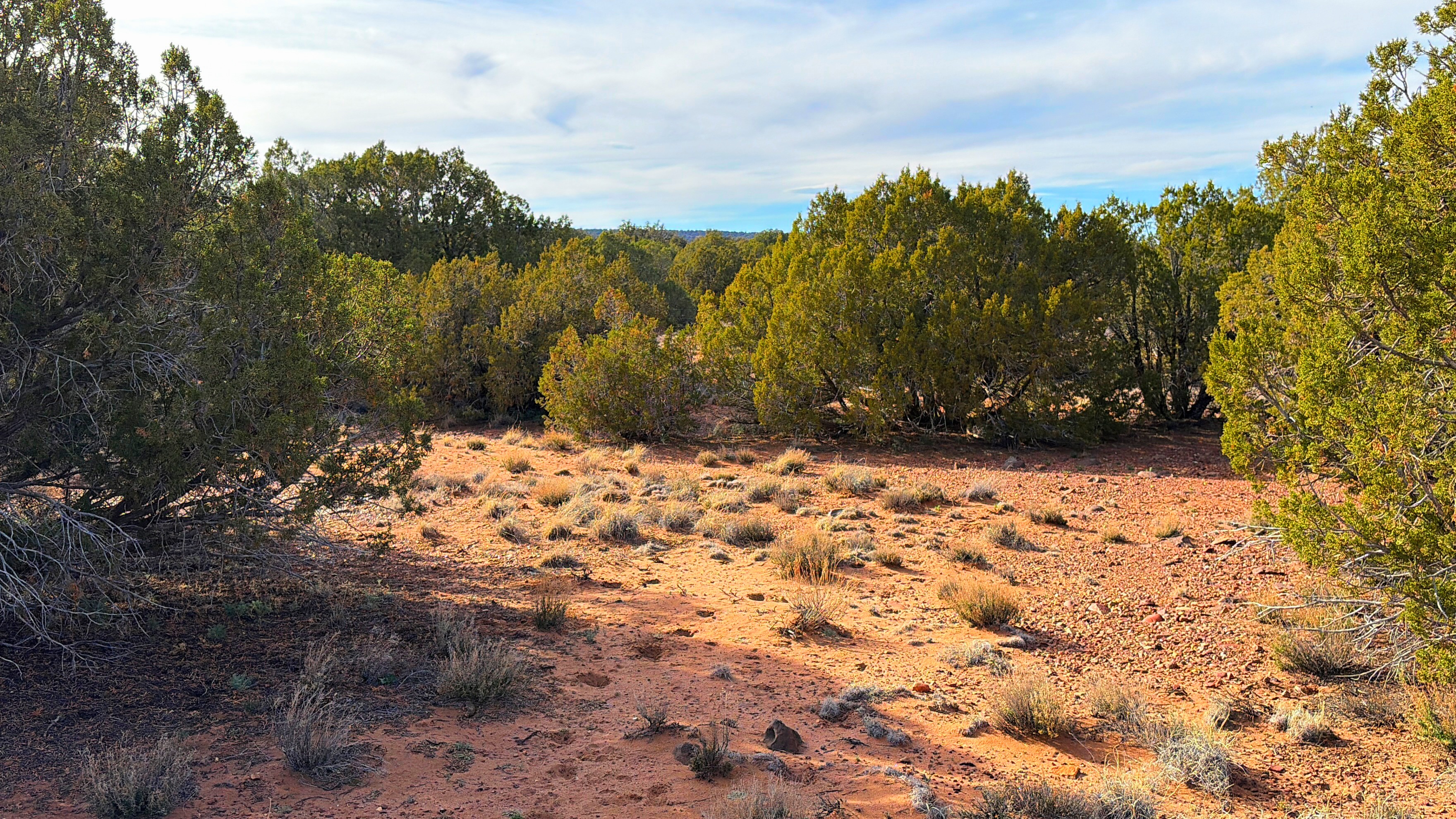 Snowflake AZ — 1.2 acres with financing available photo 8