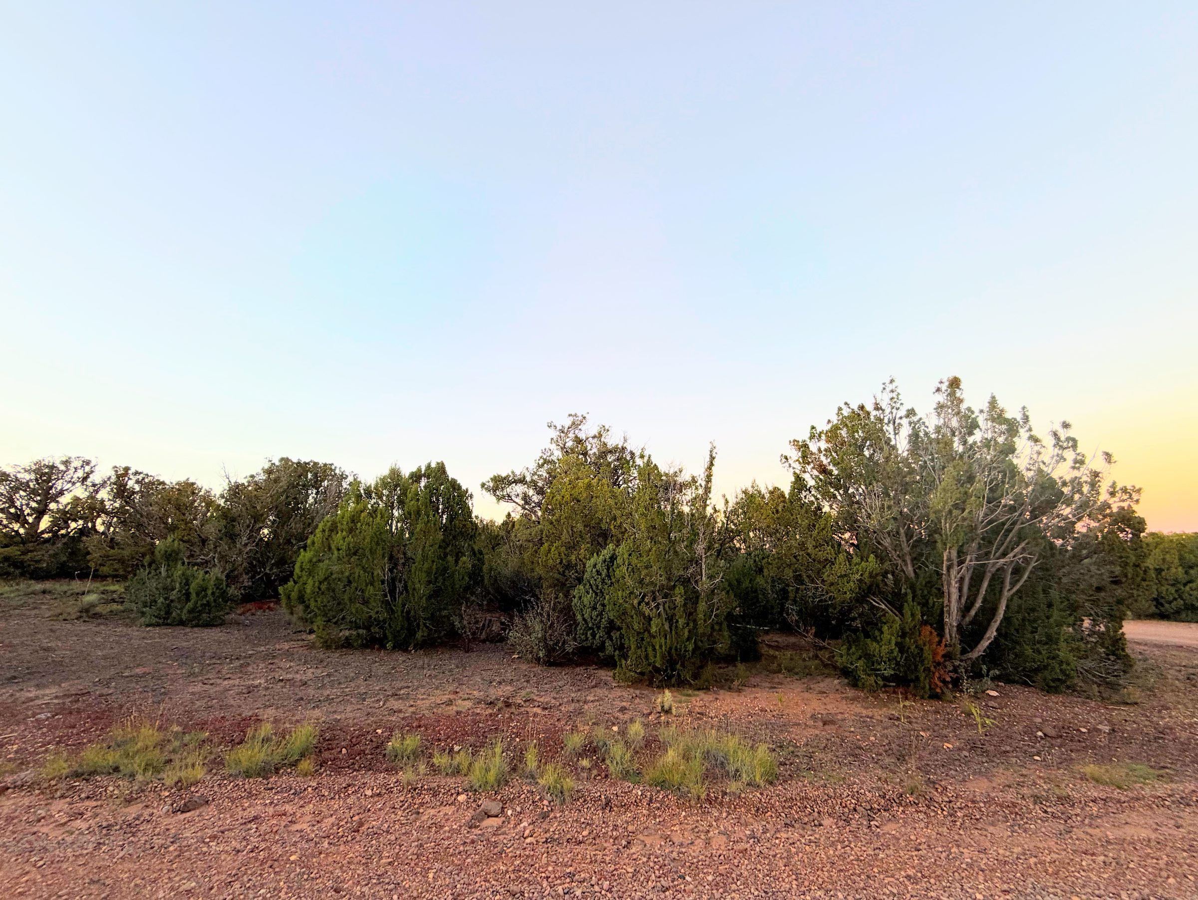 8332 Skyline Dr, Show Low AZ — photo 8