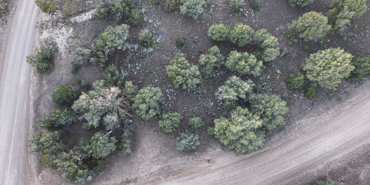 8332 Skyline Dr, Show Low AZ — photo 25