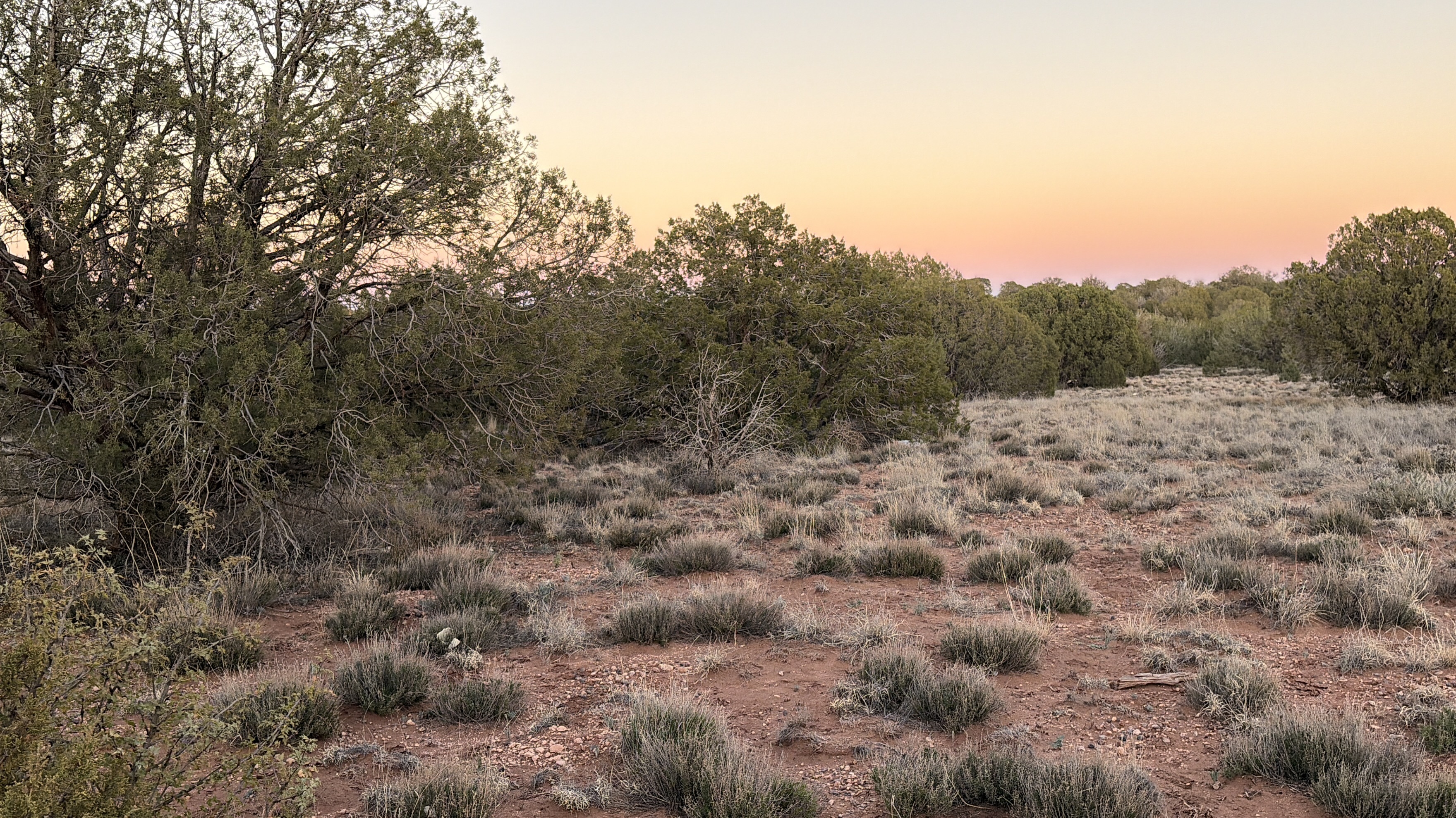 Snowflake AZ — 1.12 acres with financing available photo 25