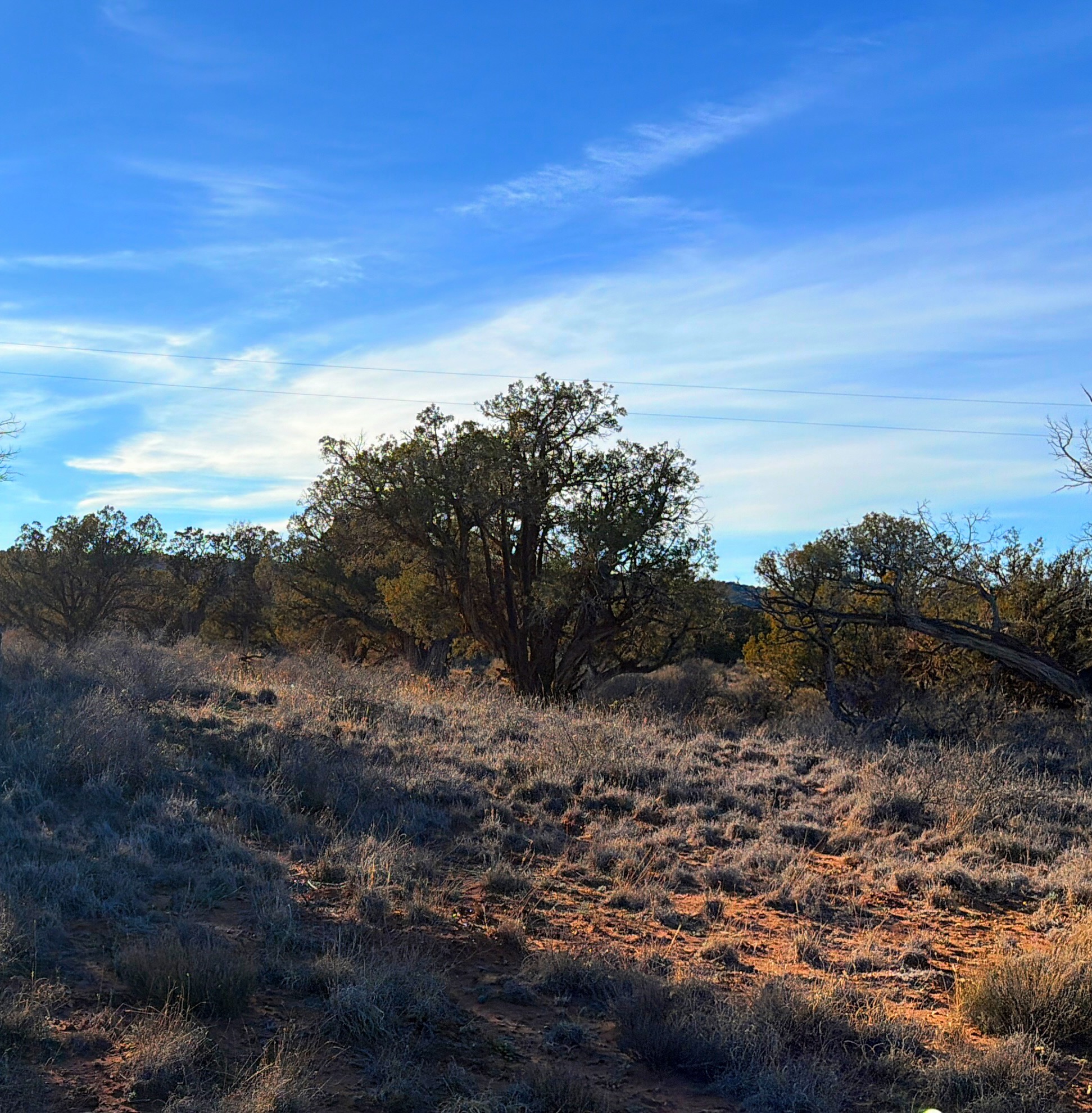 Snowflake AZ — 1.18 acres with financing available photo 9