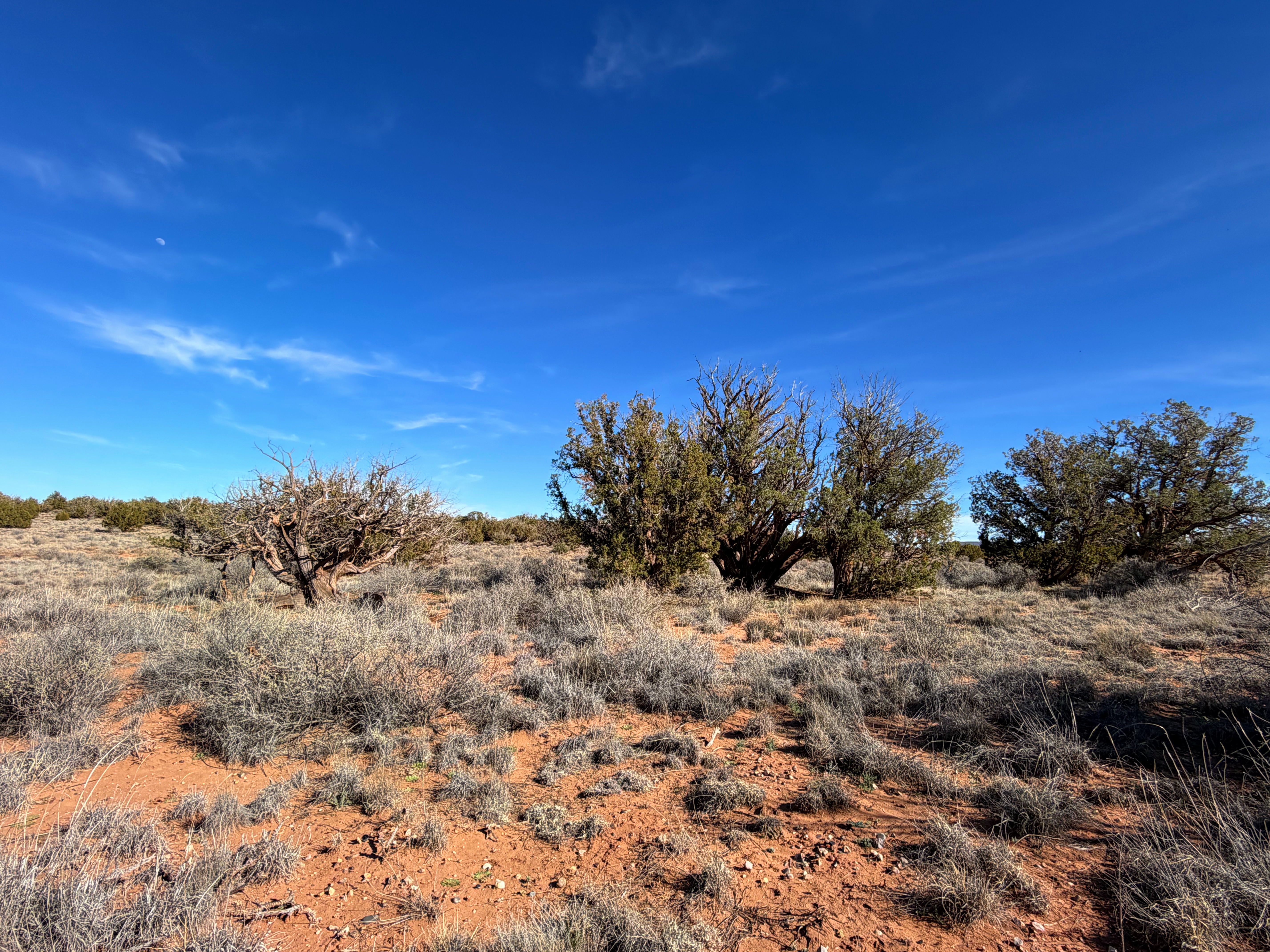 Snowflake AZ — 1.18 acres with financing available photo 8