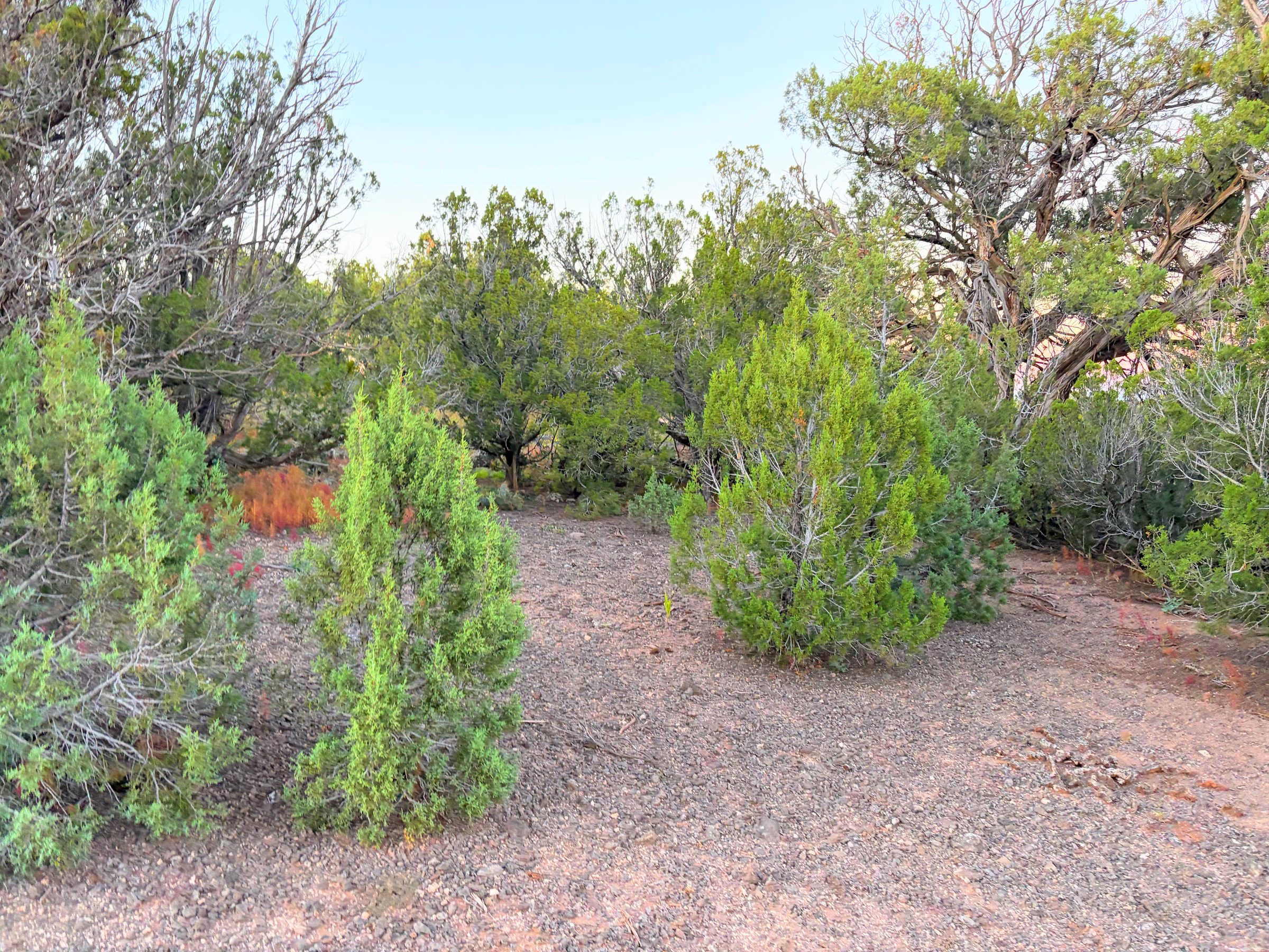 8332 Skyline Dr, Show Low AZ — photo 7