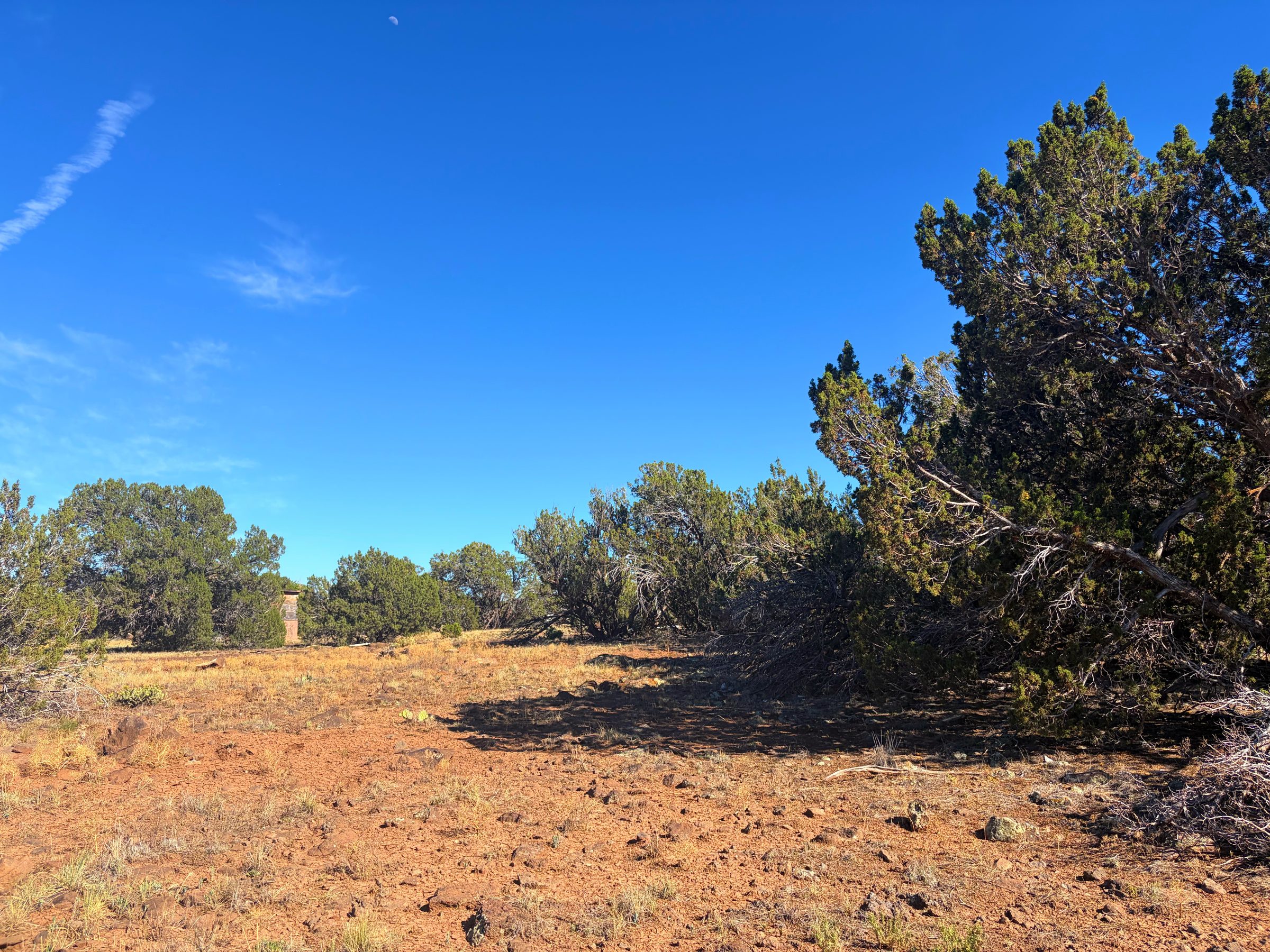 1.2 Acres in Show Low | White Mountains Getaway, Show Low AZ — photo 35