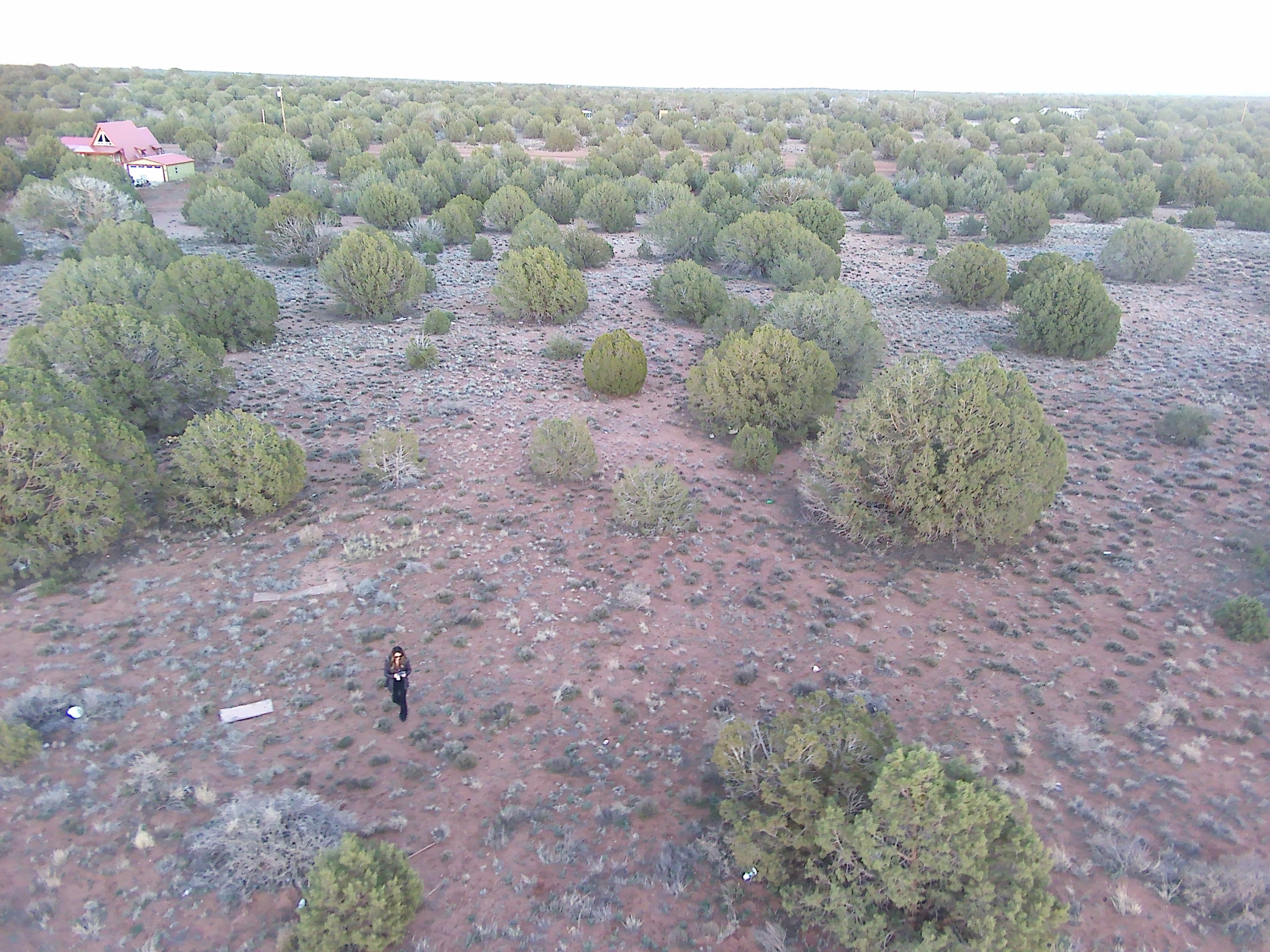 Snowflake AZ — 1.12 acres with financing available photo 14