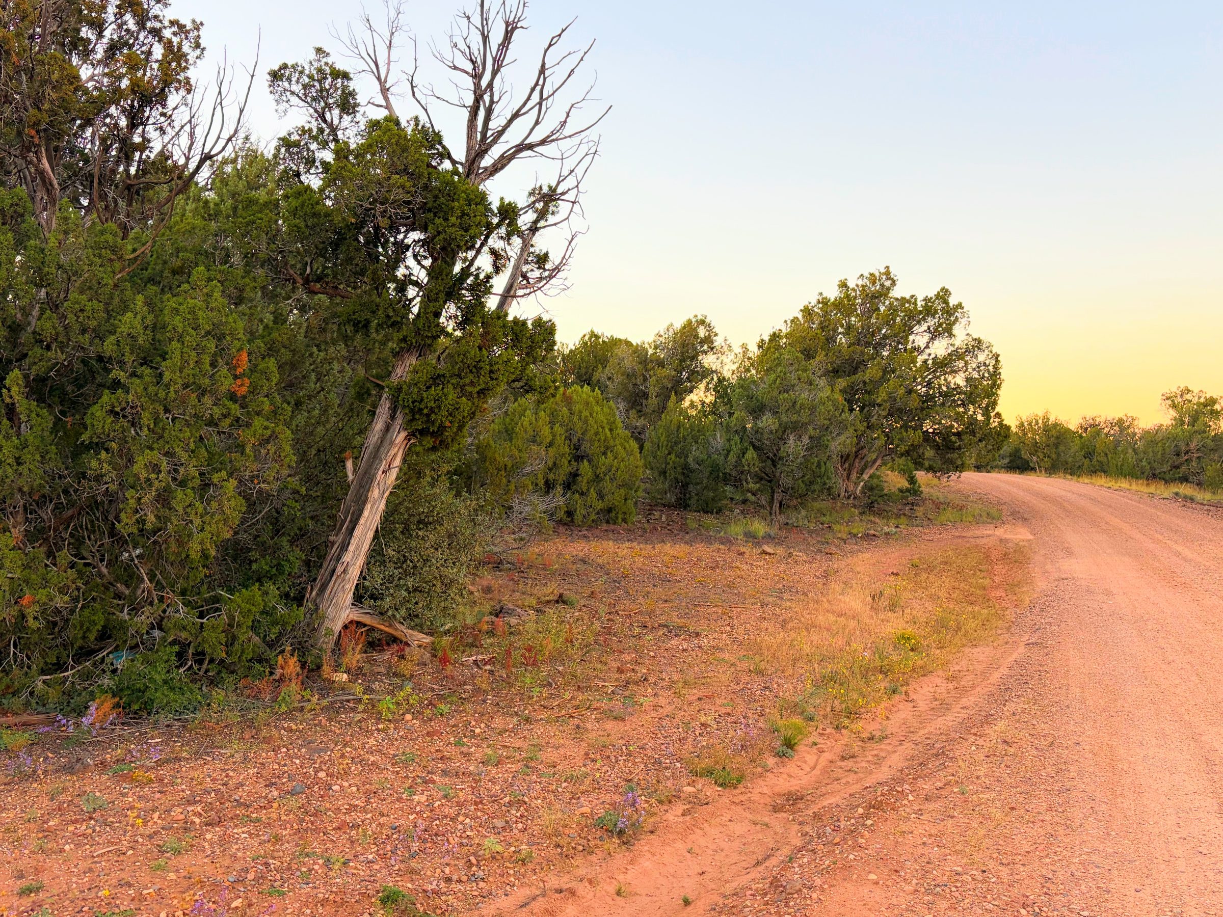 8332 Skyline Dr, Show Low AZ — photo 12