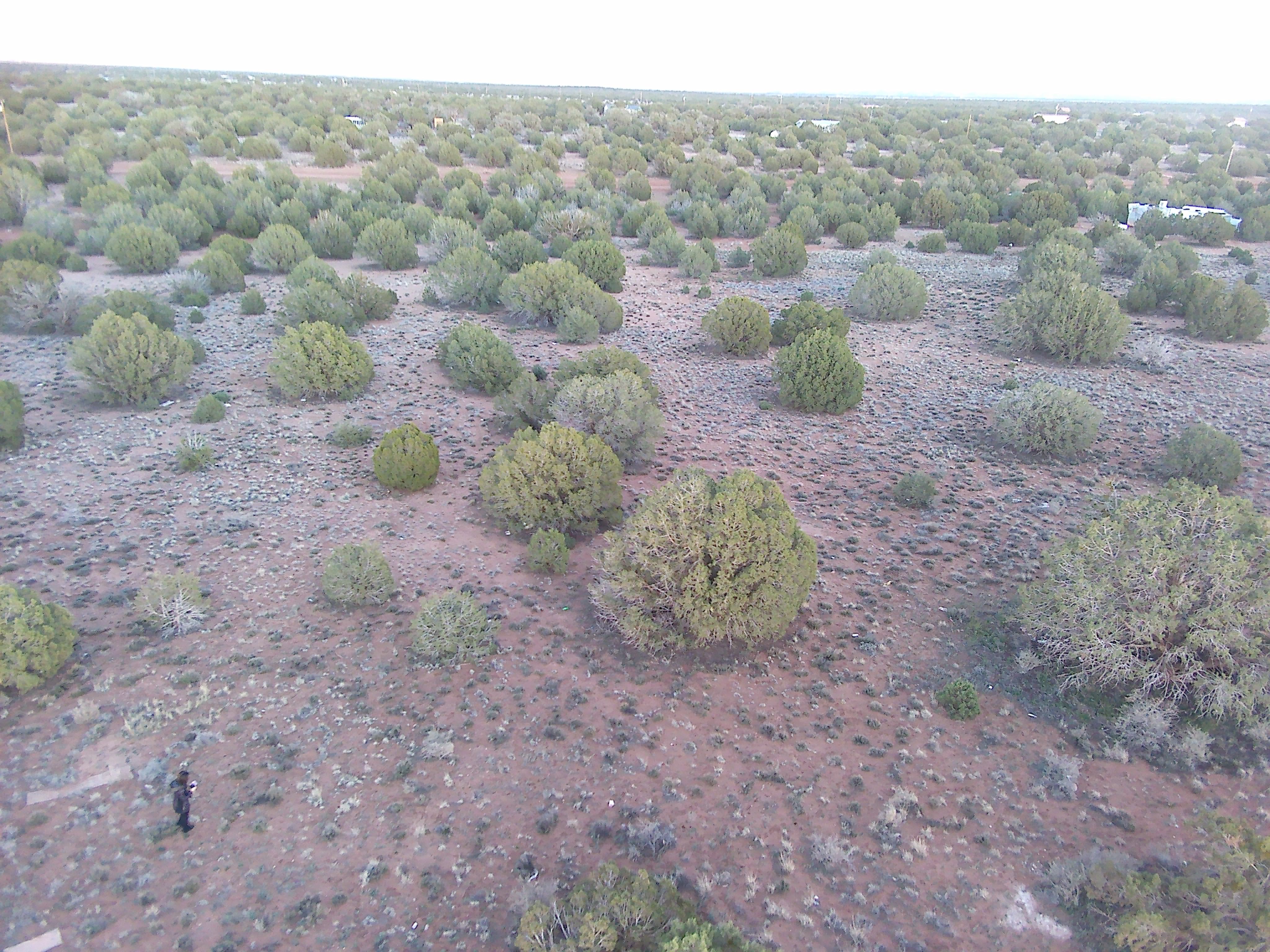 Snowflake AZ — 1.12 acres with financing available photo 13