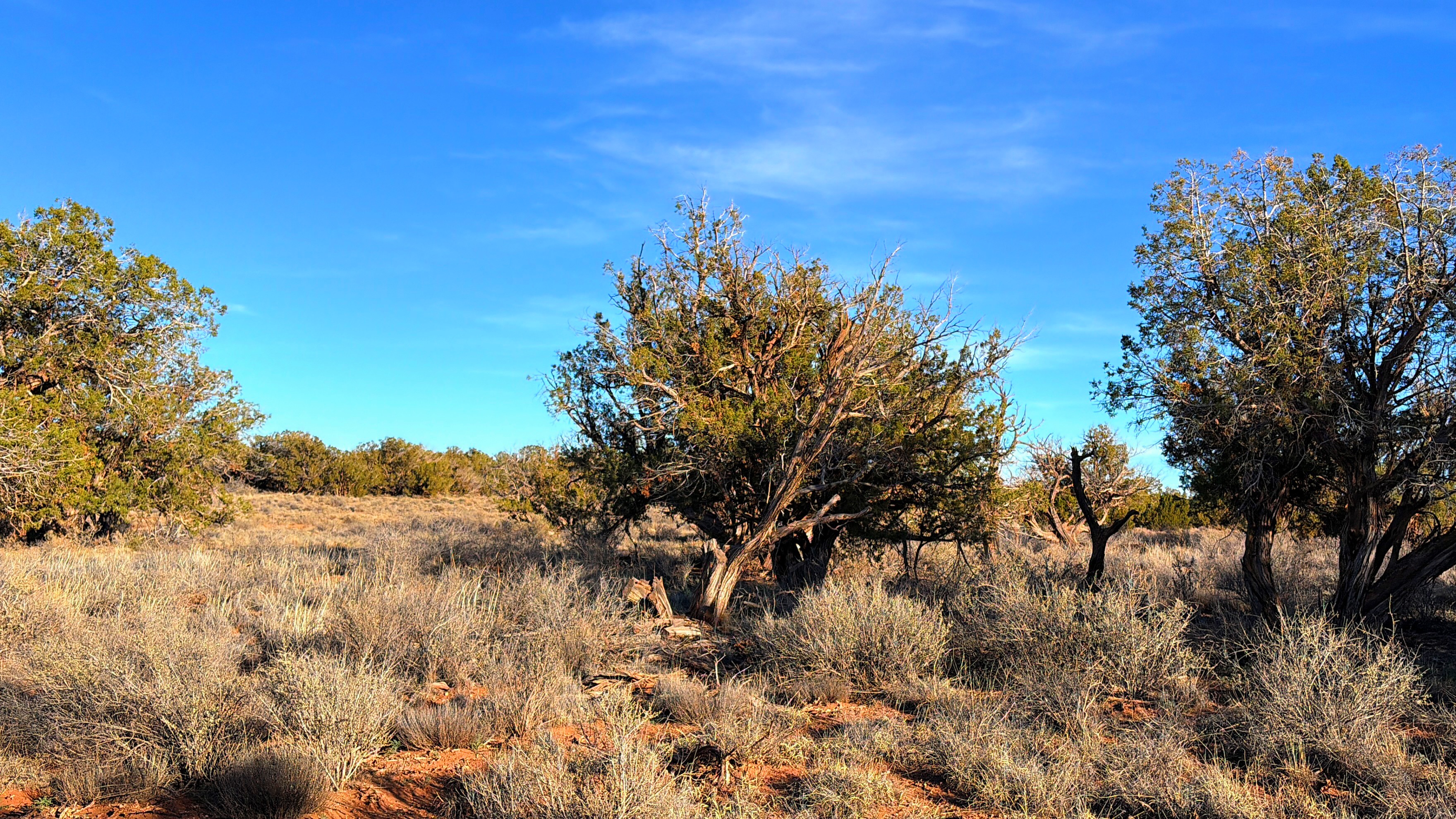 Snowflake AZ — 1.18 acres with financing available photo 5