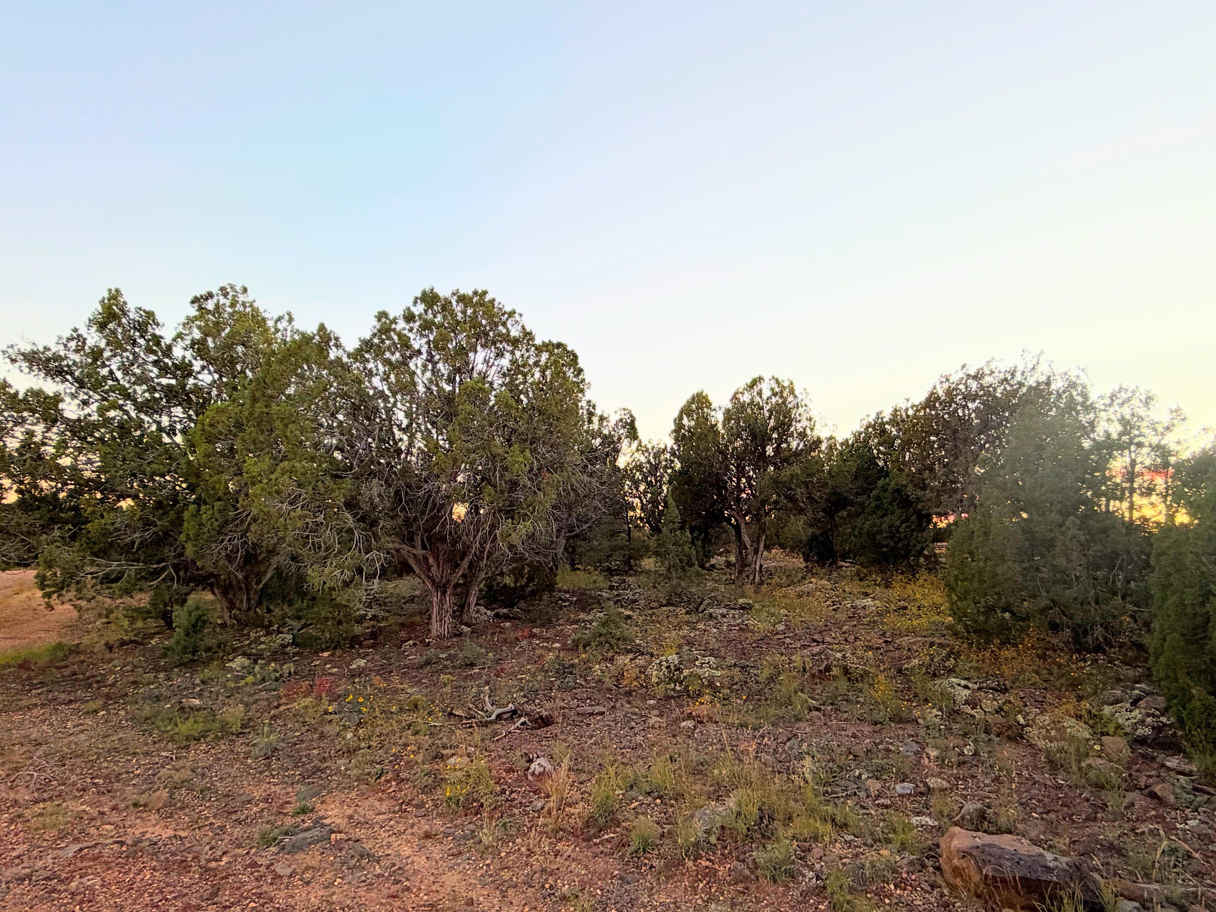 8332 Skyline Dr, Show Low AZ — photo 15