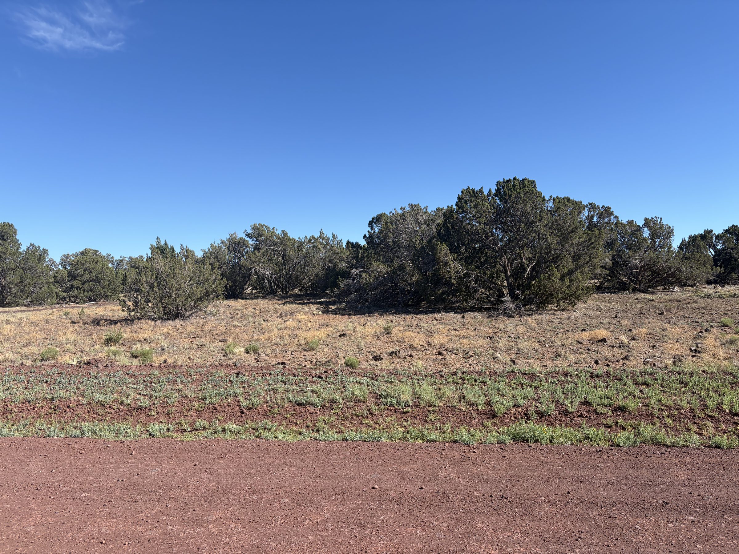 1.2 Acres in Show Low | White Mountains Getaway, Show Low AZ — photo 16