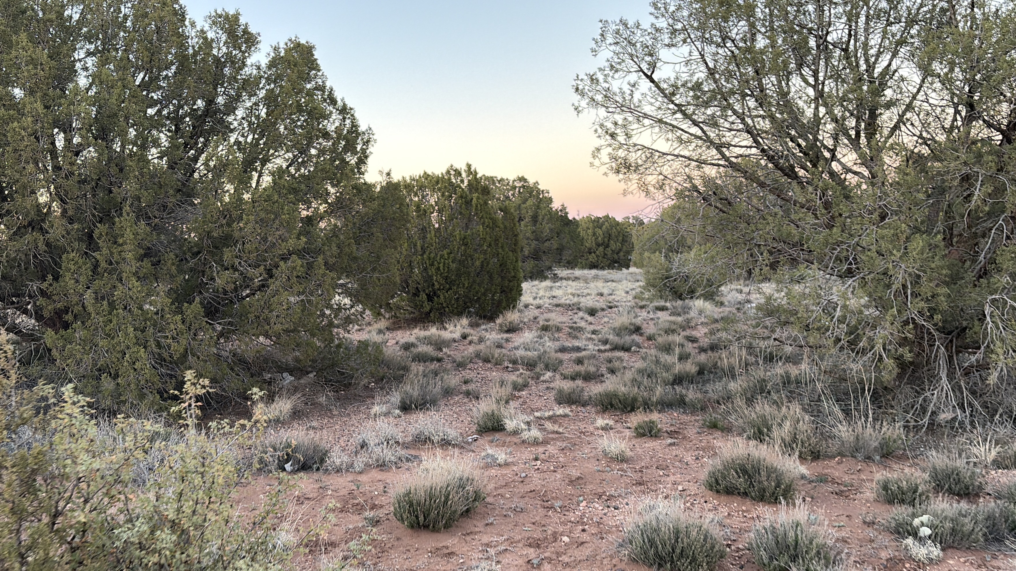 Snowflake AZ — 1.12 acres with financing available photo 22