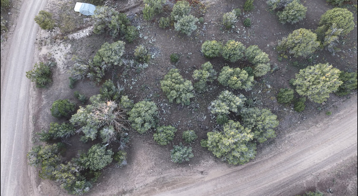 8332 Skyline Dr, Show Low AZ — photo 21