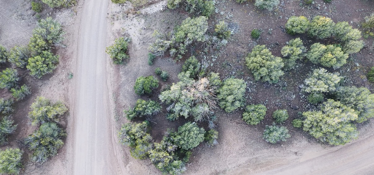 8332 Skyline Dr, Show Low AZ — photo 27