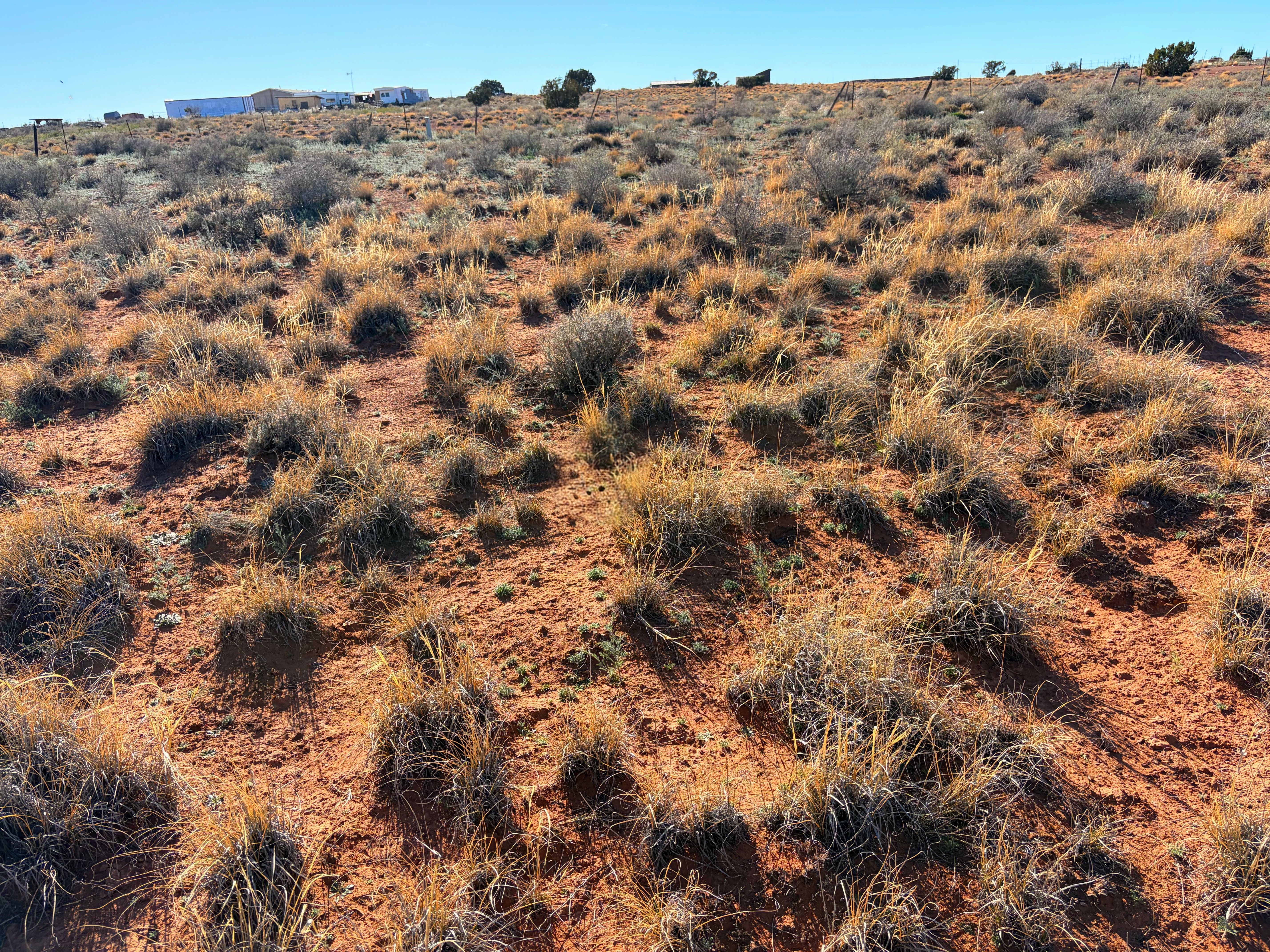 Snowflake AZ — 1.3 acres with financing available photo 22