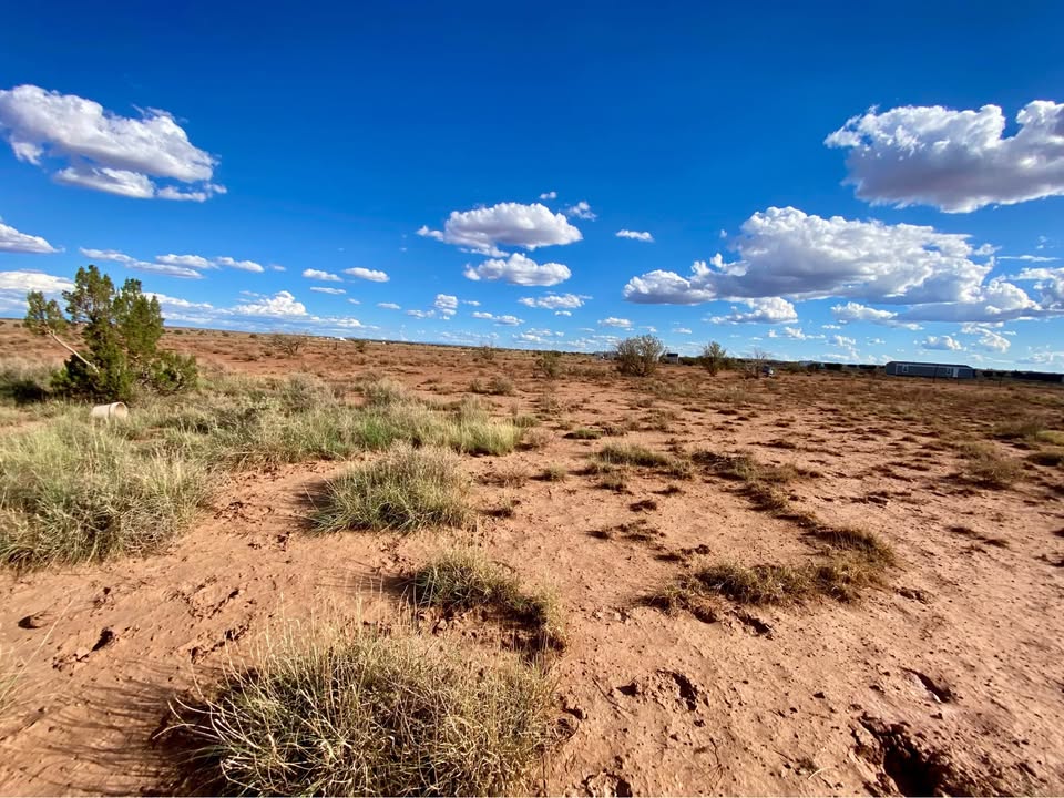 Snowflake AZ — 1.26 acres with financing available photo 13