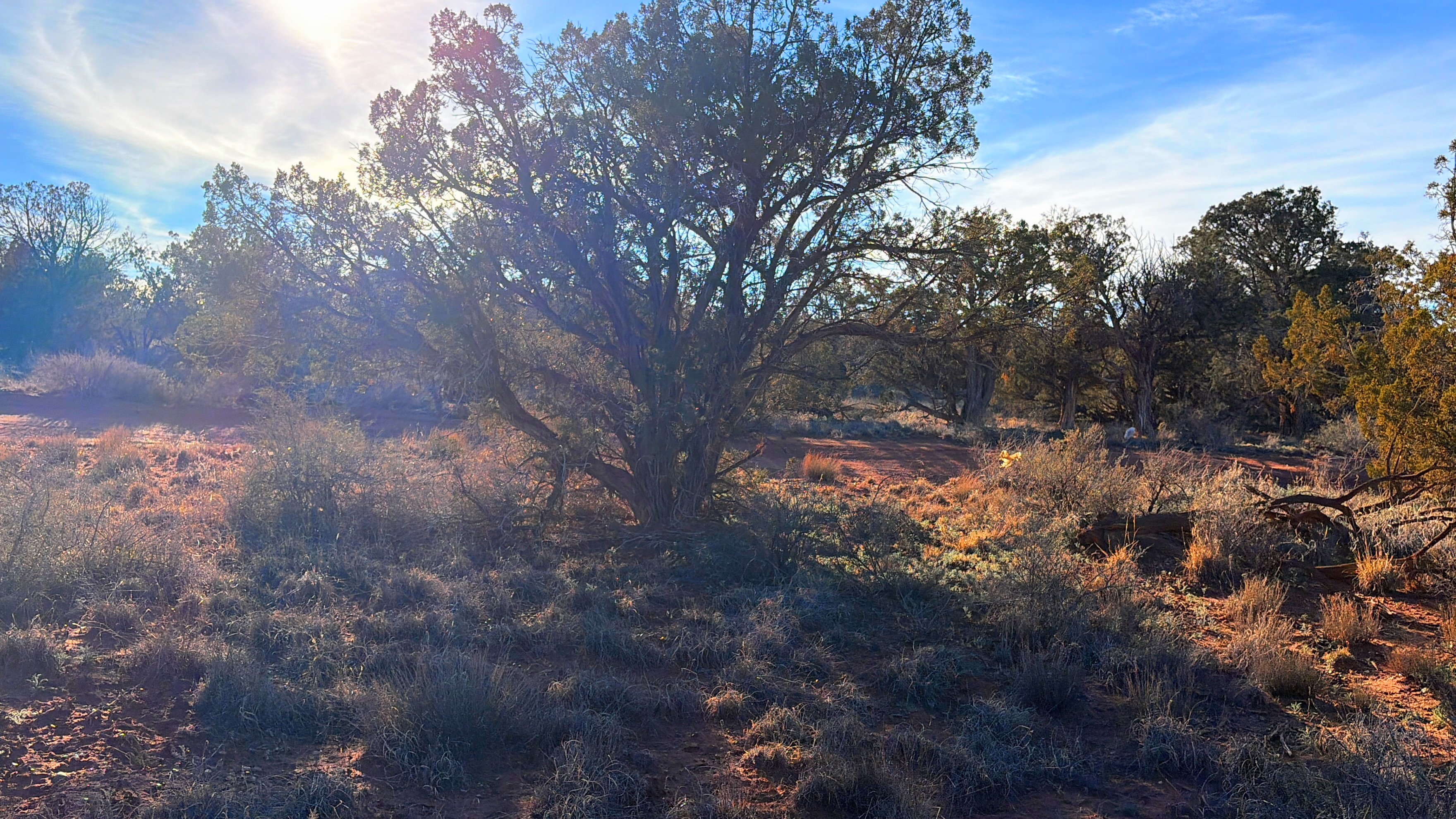 Snowflake AZ — 1.18 acres with financing available photo 11