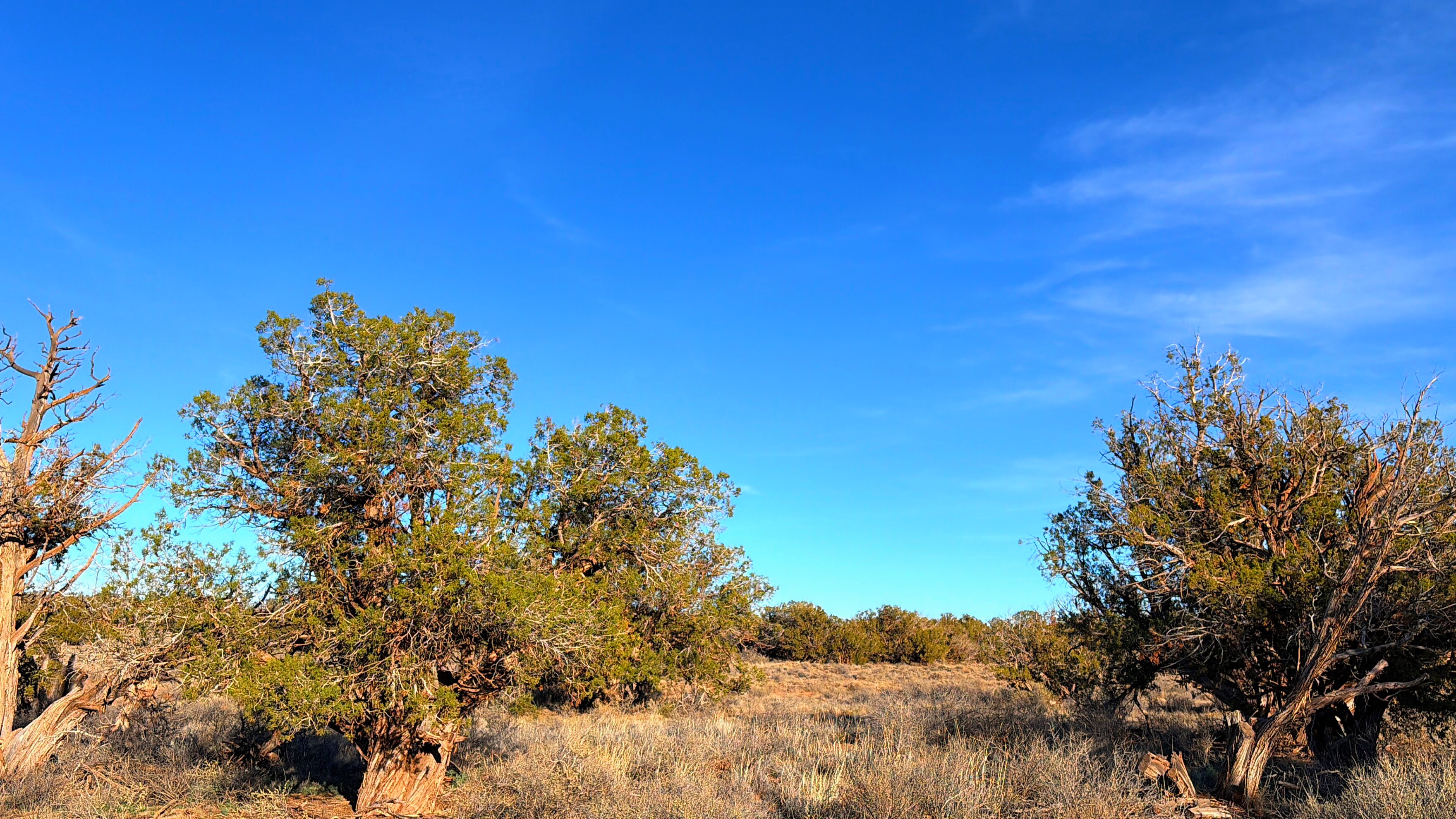Snowflake AZ — 1.18 acres with financing available photo 4