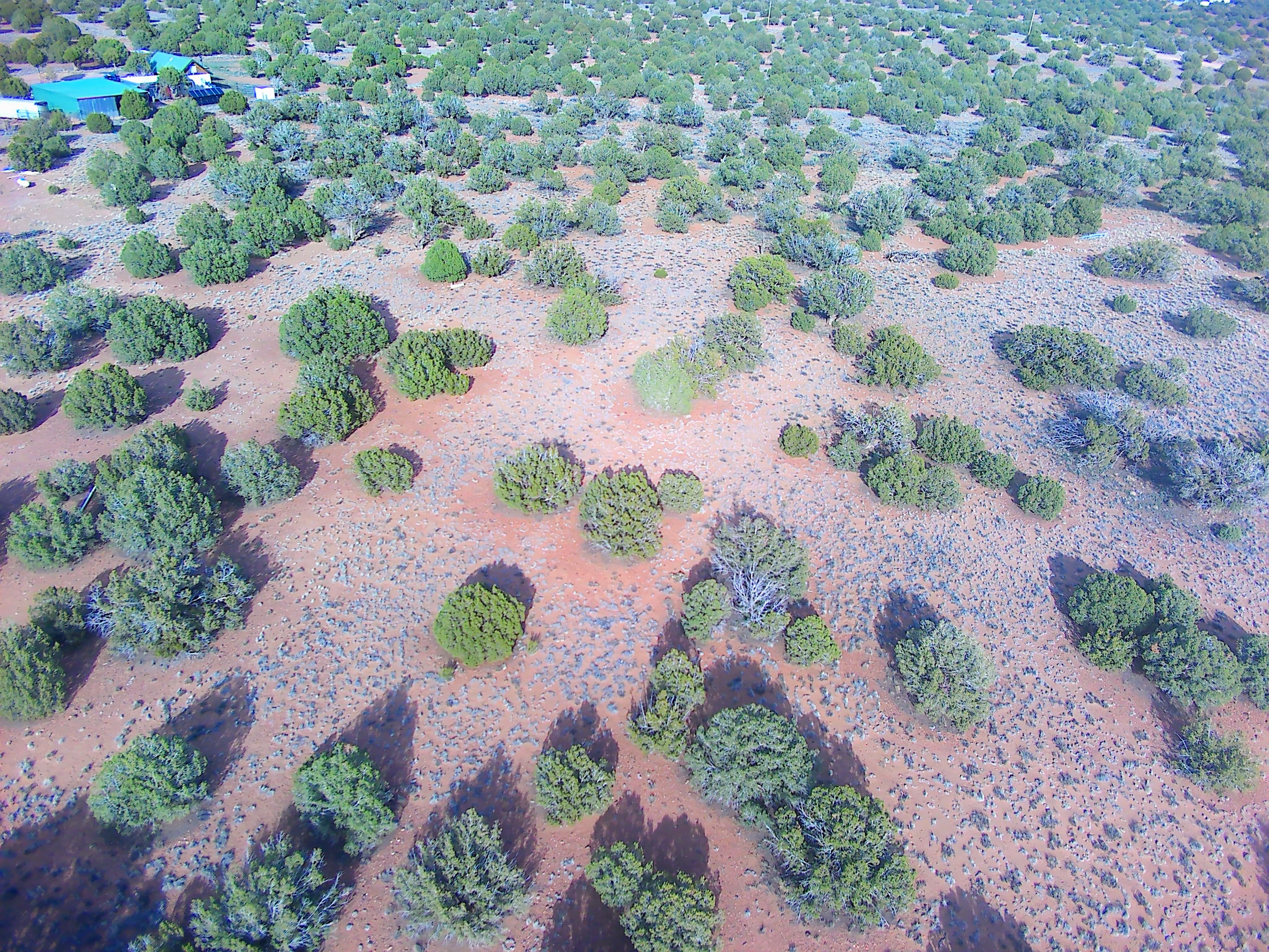 Snowflake AZ — 1.2 acres with financing available photo 4