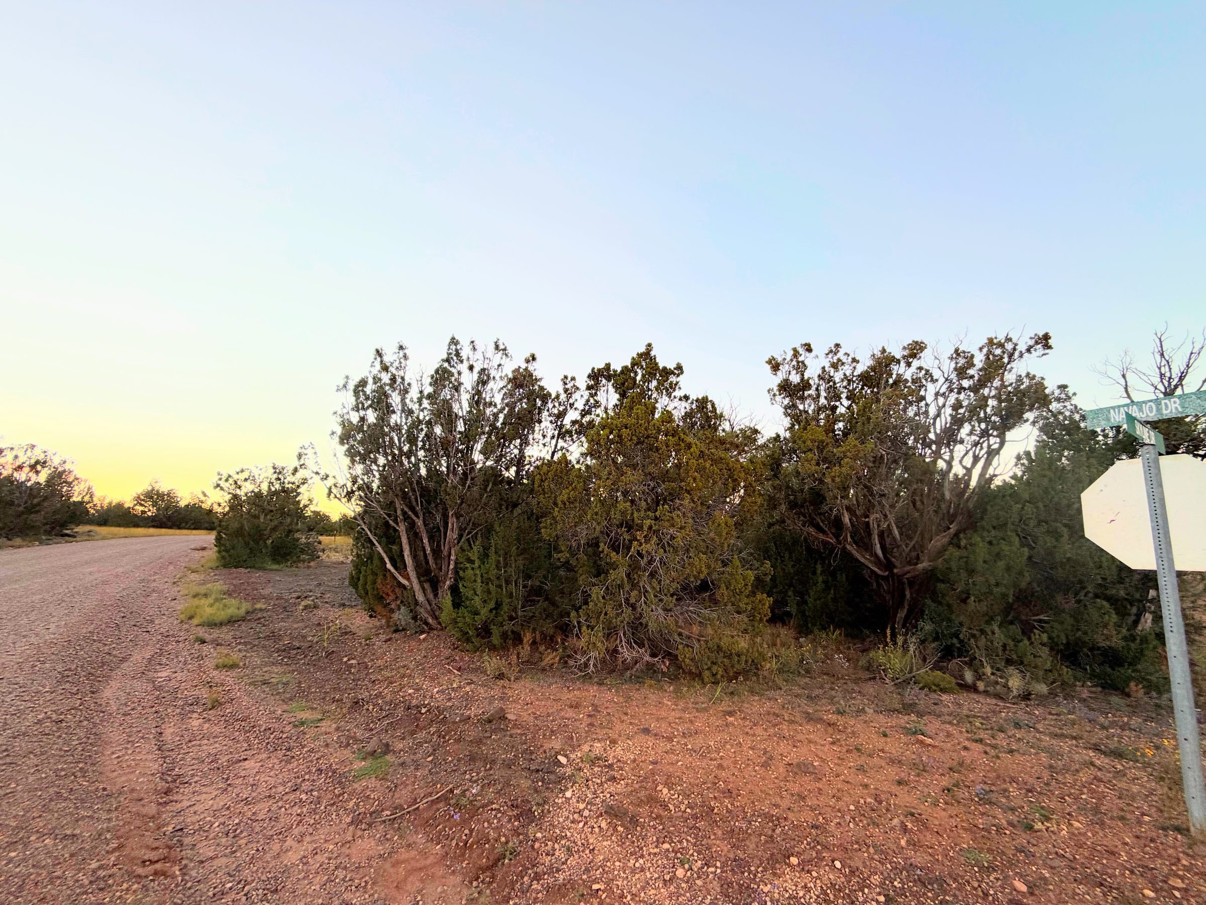 8332 Skyline Dr, Show Low AZ — photo 10